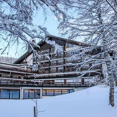 Birkenwald.9 * Seefeld in Tirol