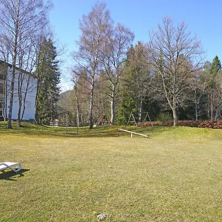 Birkenwald.9
